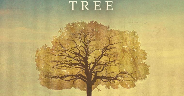 The Cross and Lynching Tree – A Conversation with Ramón Mayo